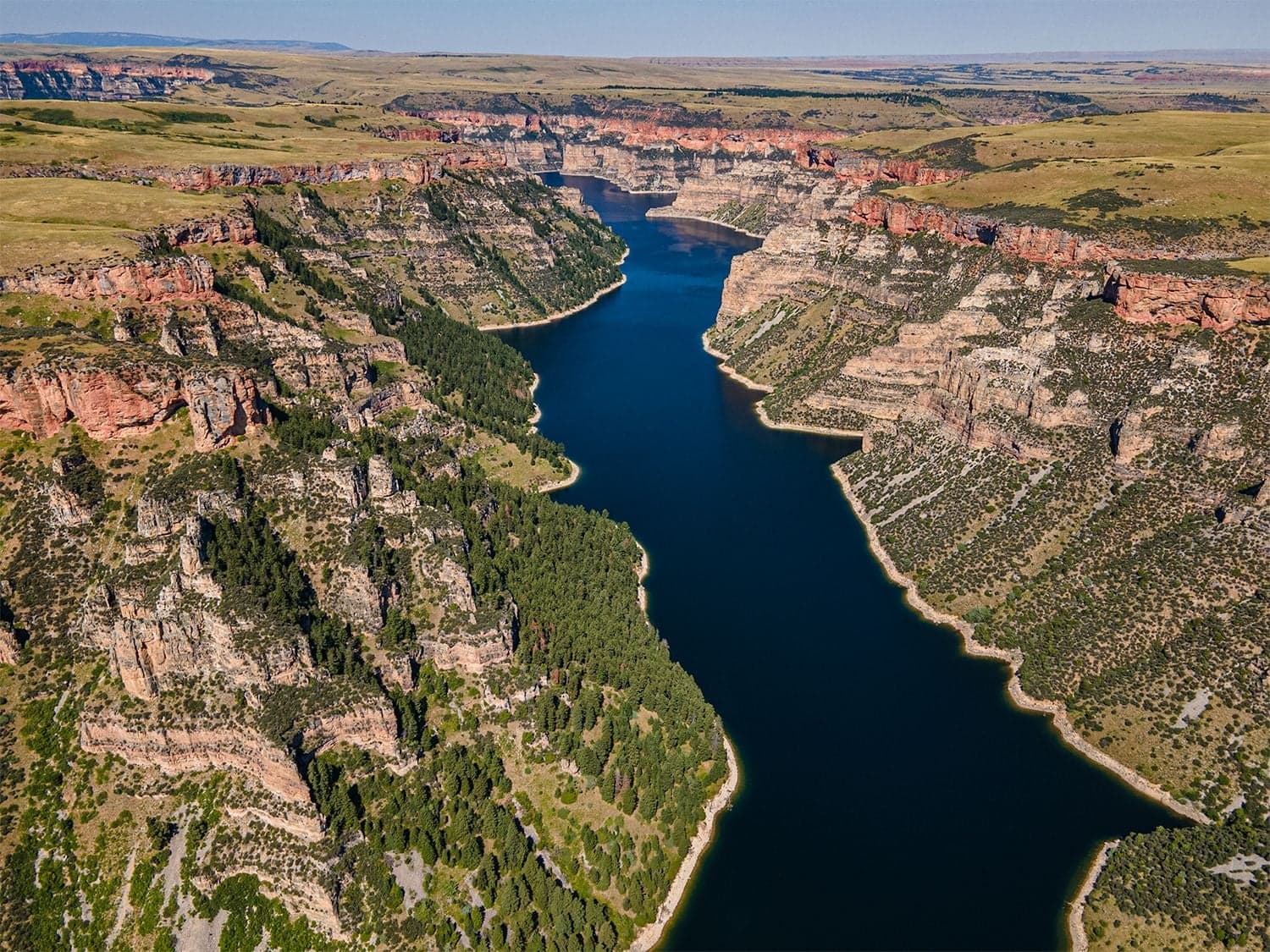 An aerial of a deep sapphire river winding through a red and cream sandstone canyon surrounded by green scrub and plateaus.