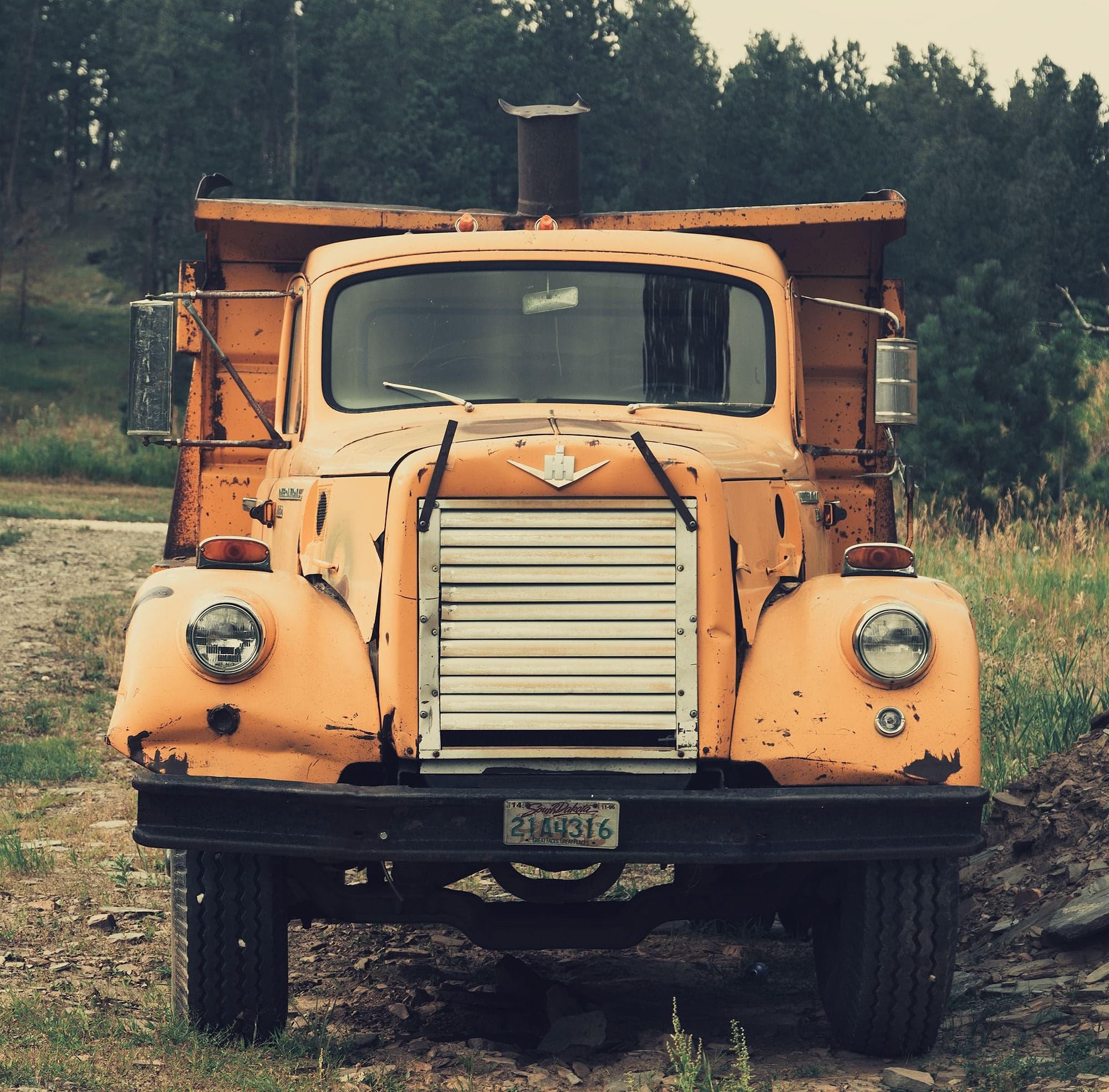 A front view of a heavily rusted vintage yellow International dump truck on gravel before a pine forest, Montana plate visible.