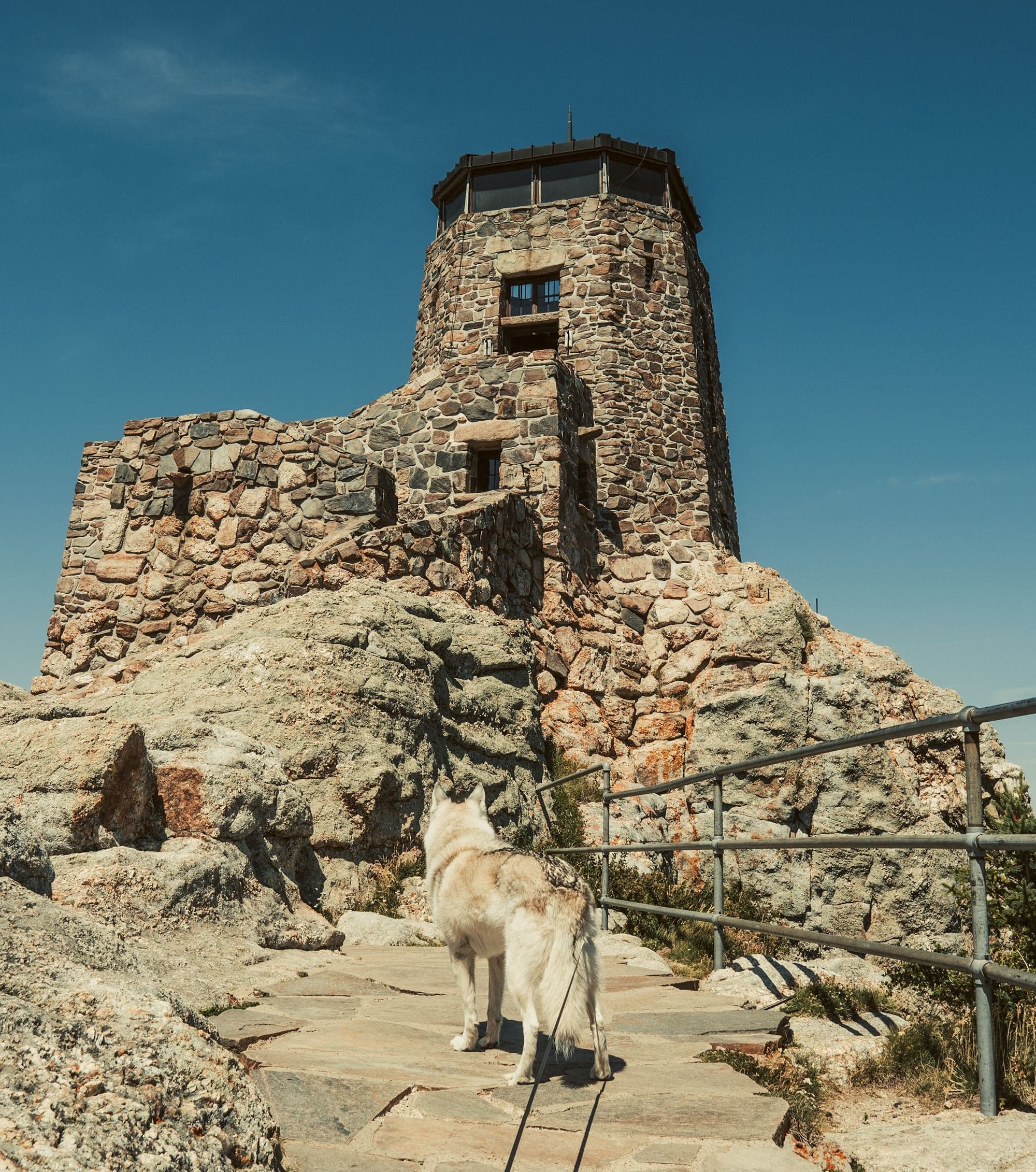 A gray wolfdog stands below the historic Black Elk Peak stone fire lookout, stone steps rising behind under blue sky.
