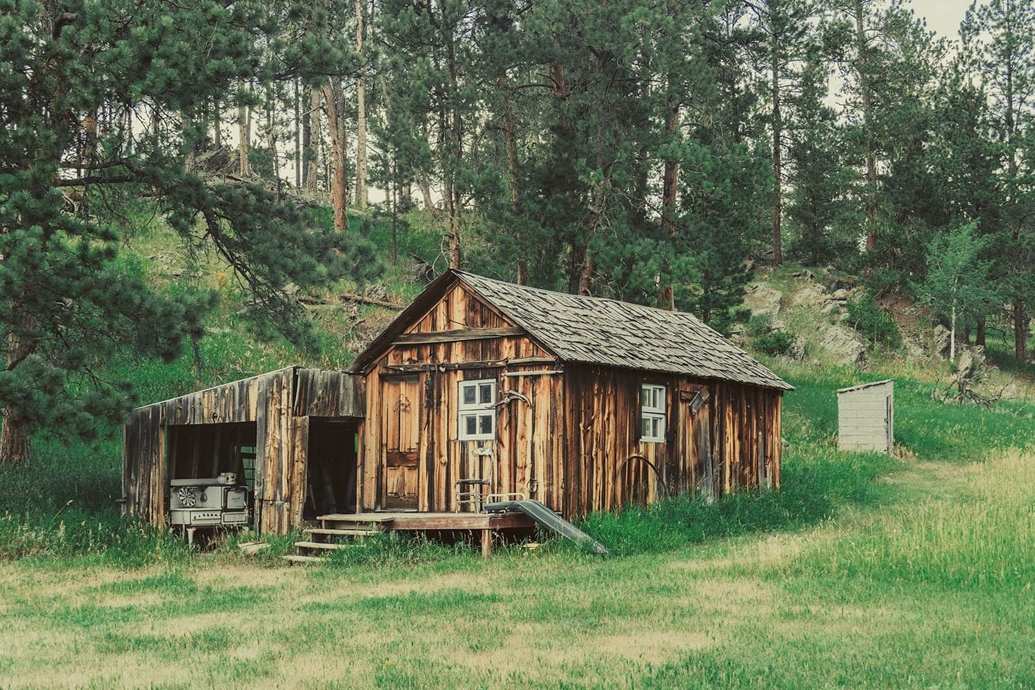 A deteriorating wooden cabin with a corrugated lean-to and rusty machinery sits in a grassy clearing among ponderosa pines.