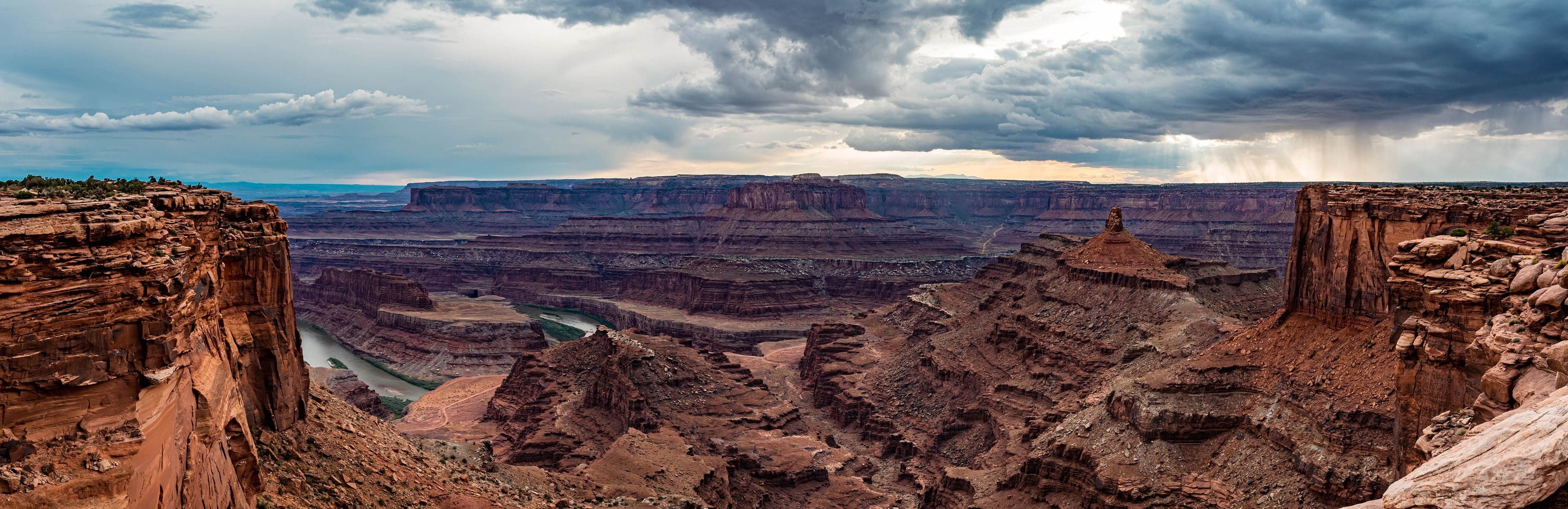 A gray wolfdog on a leash stands on the red sandstone rim at Dead Horse Point, gazing into the canyon under soft overcast.