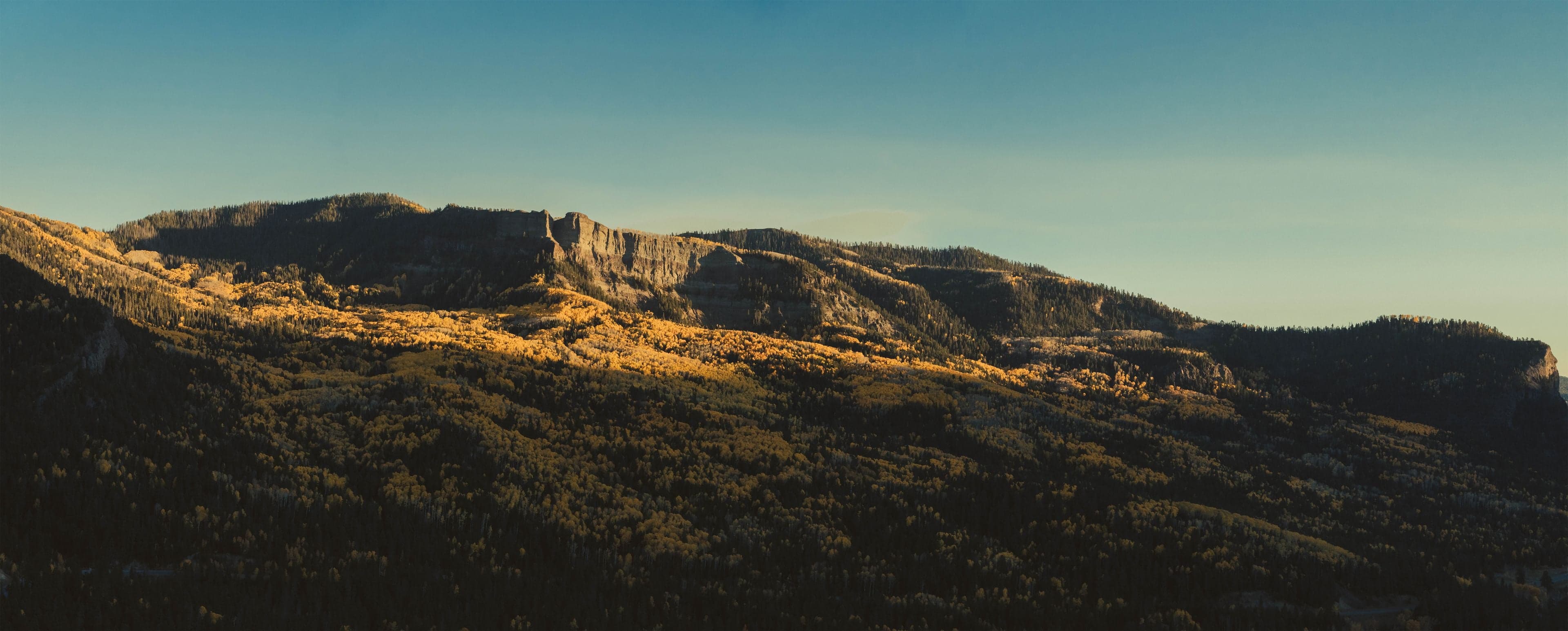 A panorama of a mountain ridge near Wolf Creek Pass with golden autumn aspens and pine forest in warm light under clear sky.