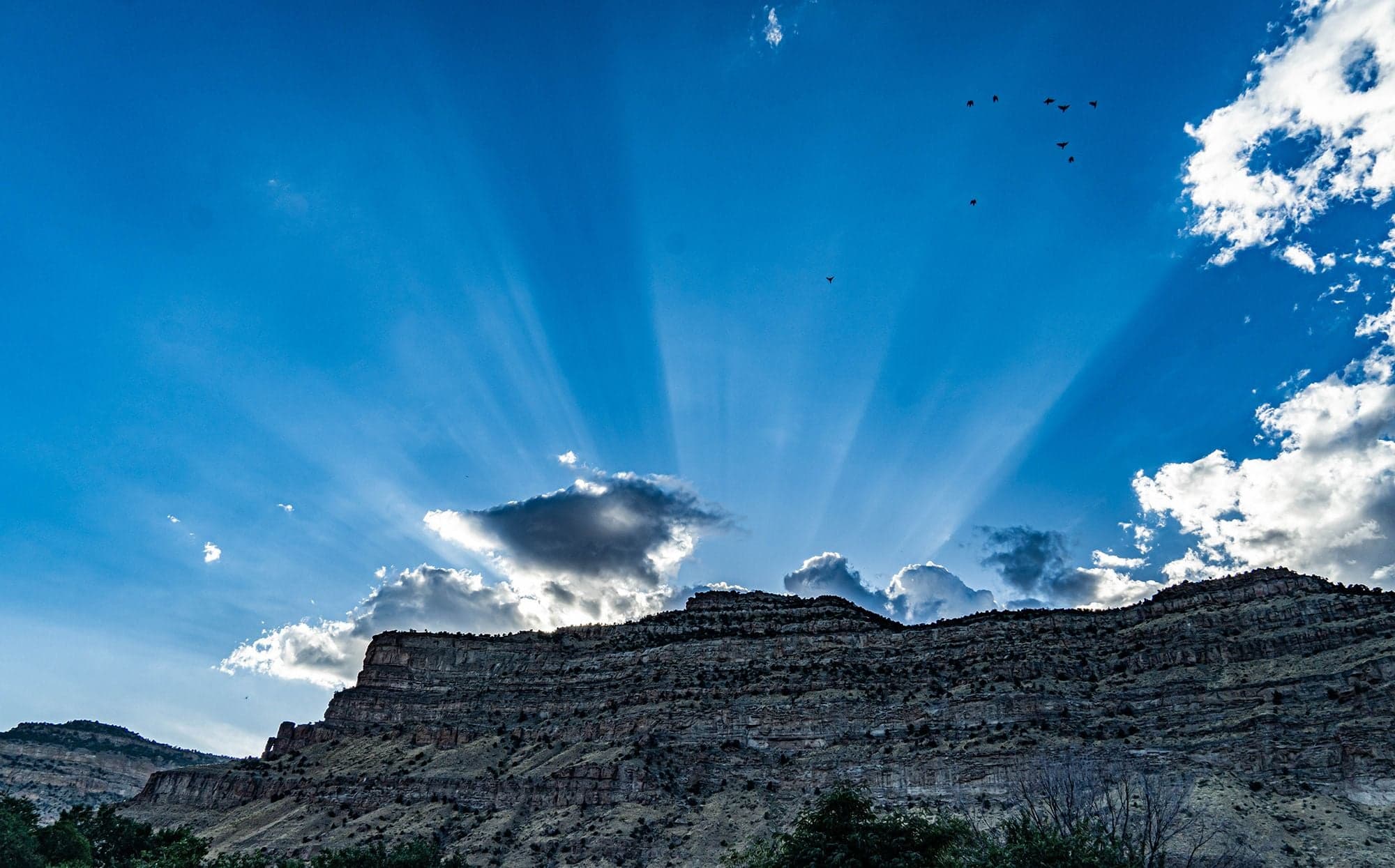 Crepuscular rays fan from behind a cloud over a layered sandstone mesa, a flock of birds scattered across vivid blue sky.