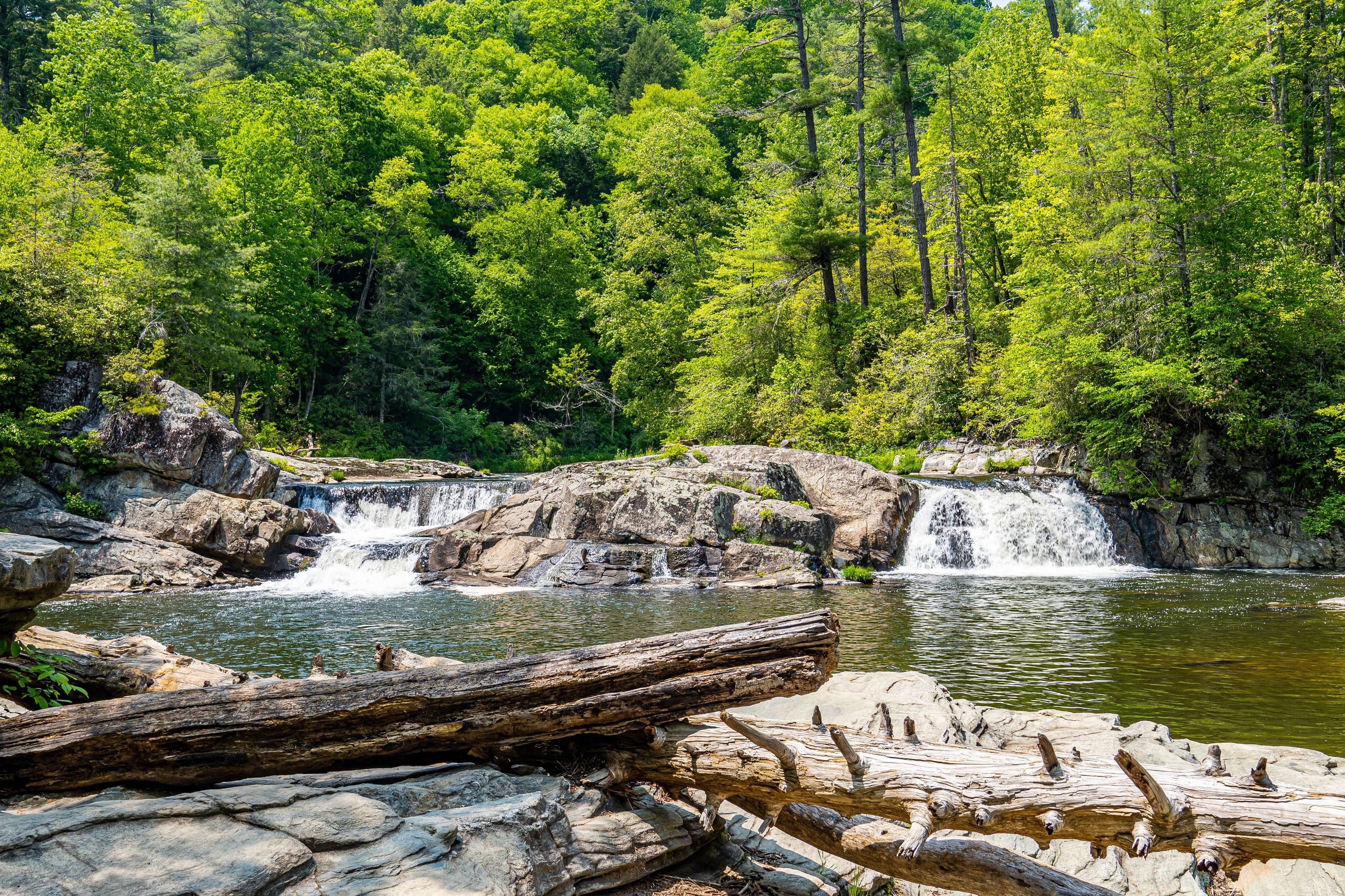 Two small waterfalls spill over layered rock ledges into a calm pool in lush green summer forest with a driftwood log in front.