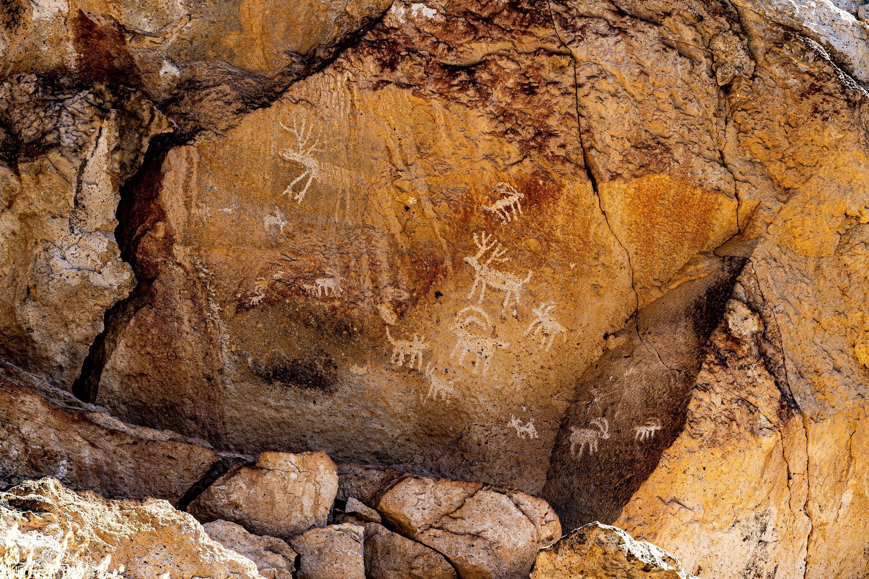 A large concentration of ancient Fremont petroglyphs — human figures, deer, handprints — etched into orange sandstone under an overhang.