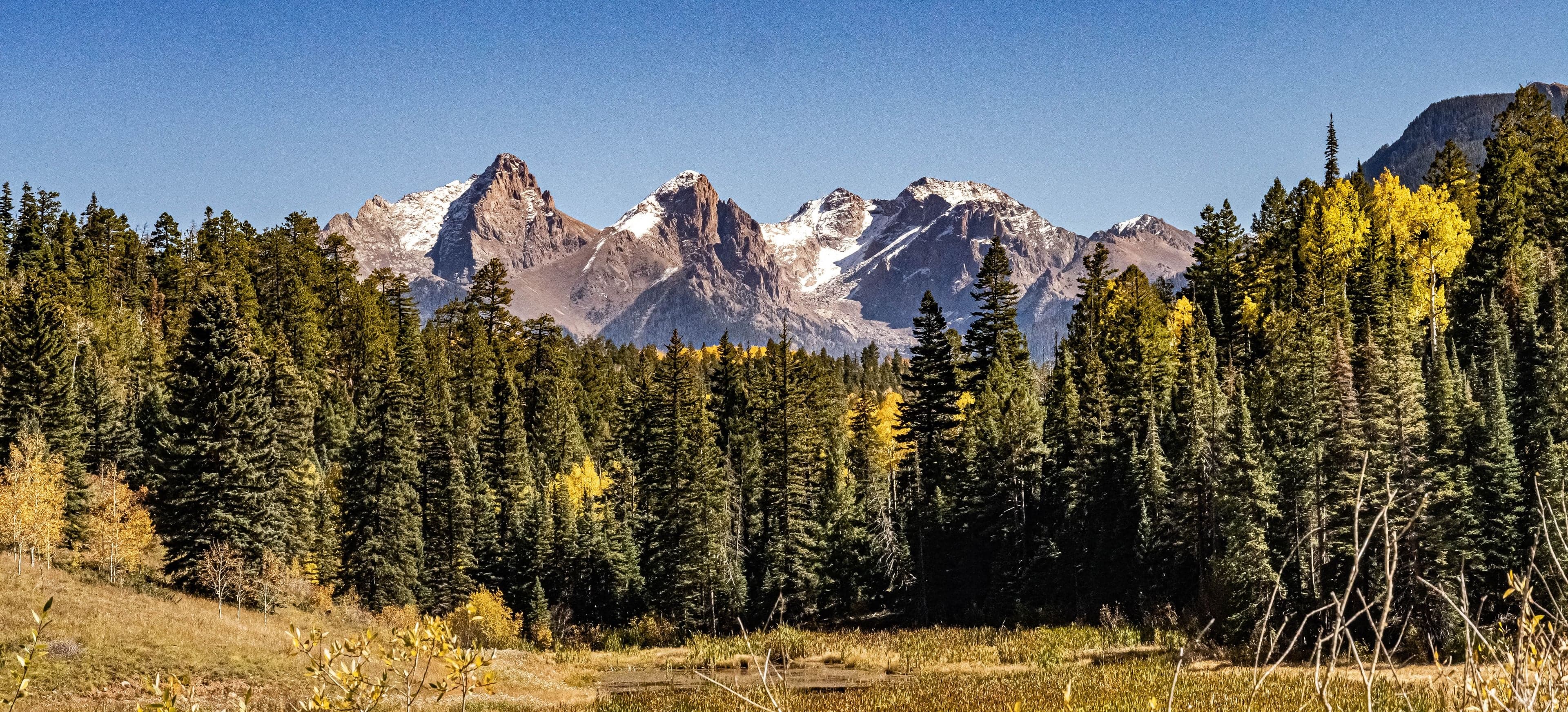 Snow-dusted rugged San Juan peaks rise above a foreground of golden autumn aspens and dark conifers in a mountain meadow.