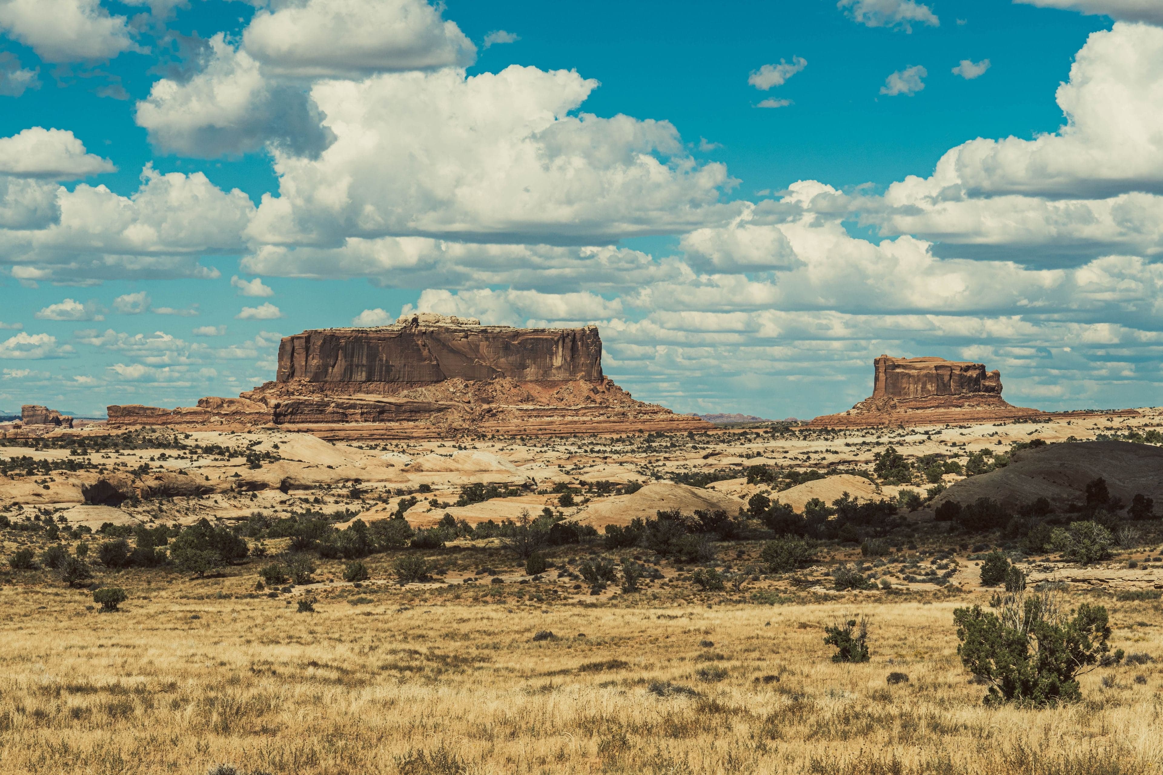 Two distinct flat-topped sandstone mesas rise above golden desert grassland under a dramatic sky of large white cumulus.
