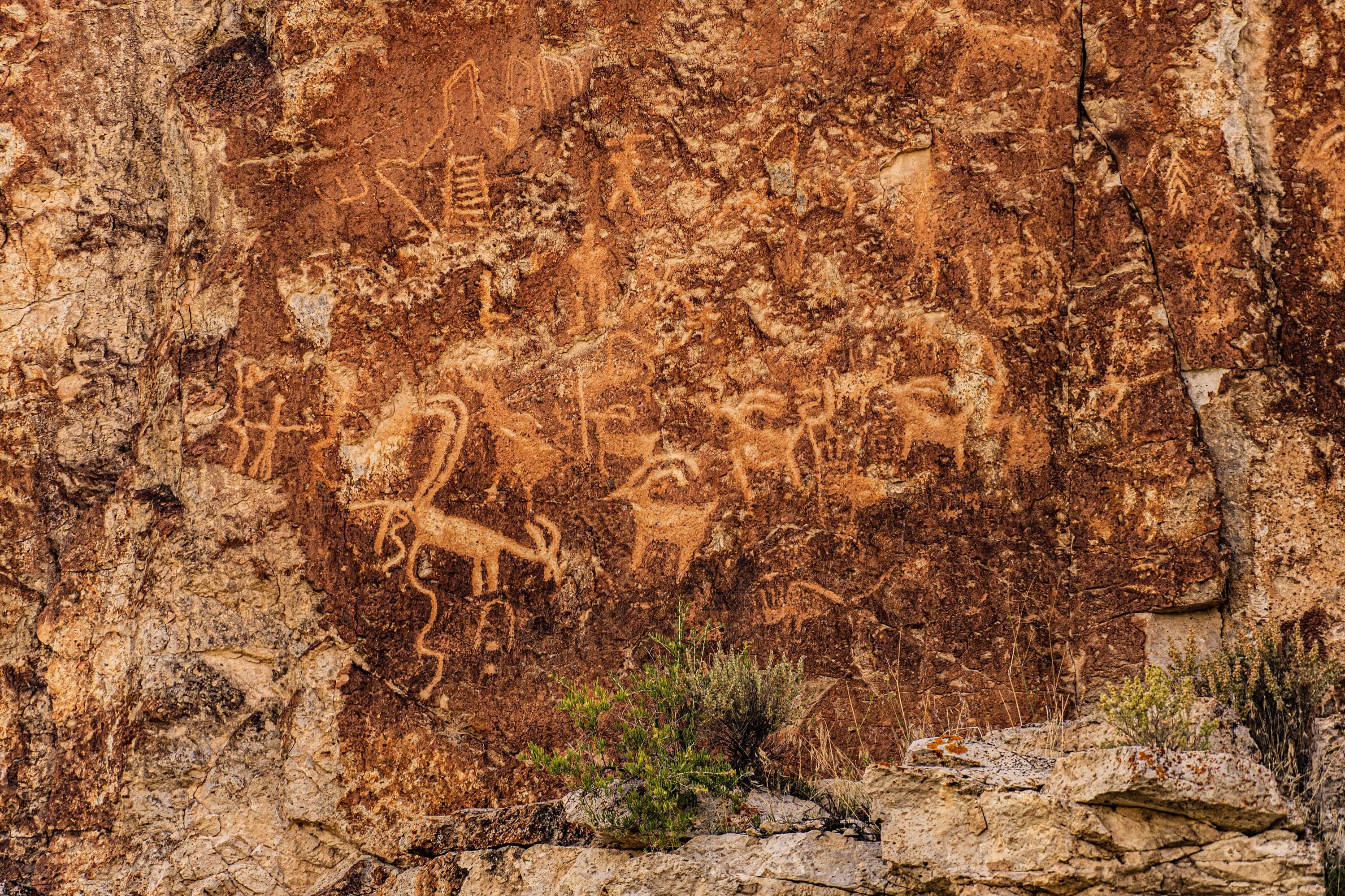 A sprawling Fremont petroglyph panel densely covered with etched horses, deer, human forms, and geometric symbols on sandstone.