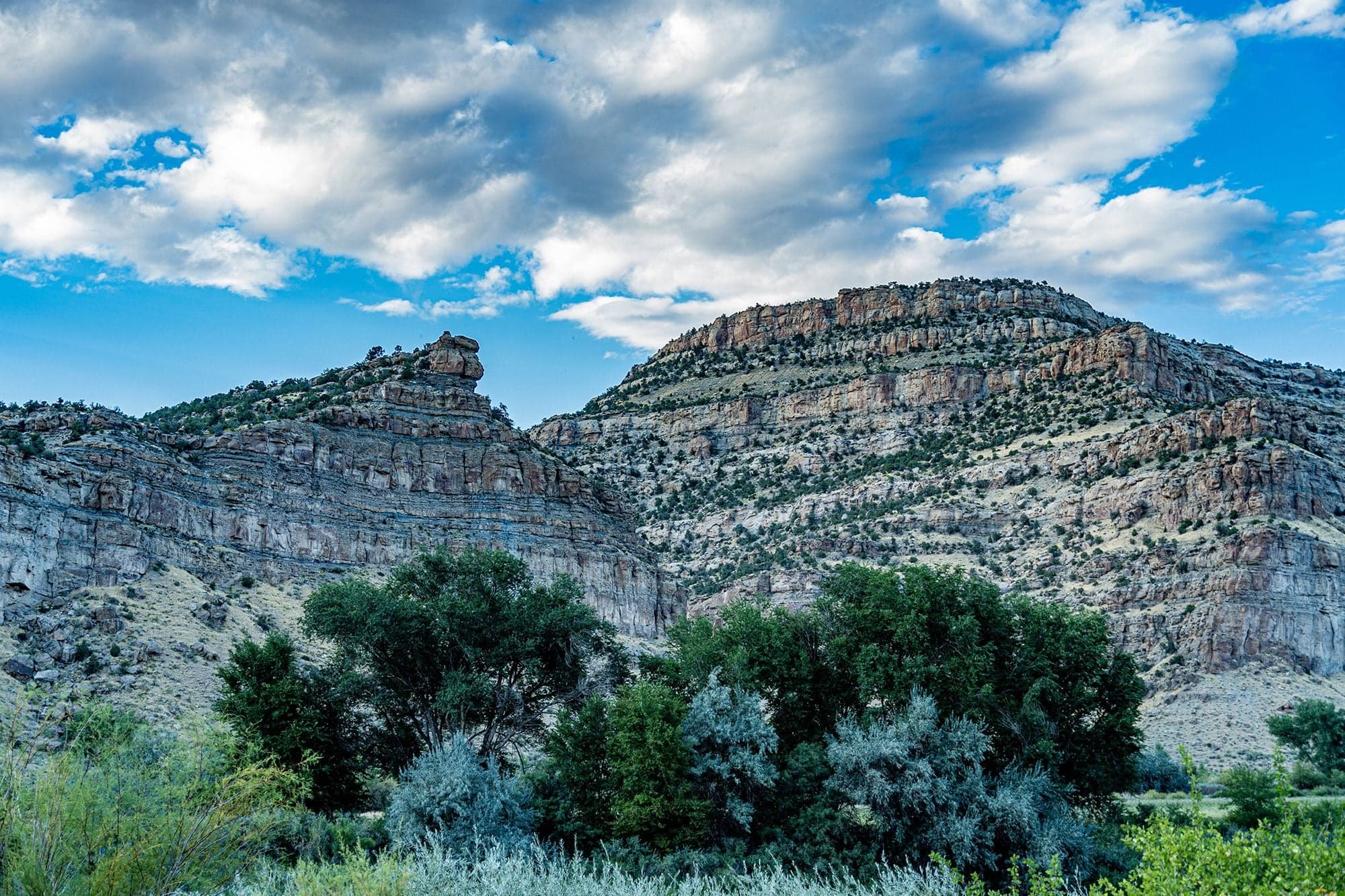 A rock spire protrudes from layered tan and orange canyon walls above a stand of green cottonwoods under a cloudy sky.